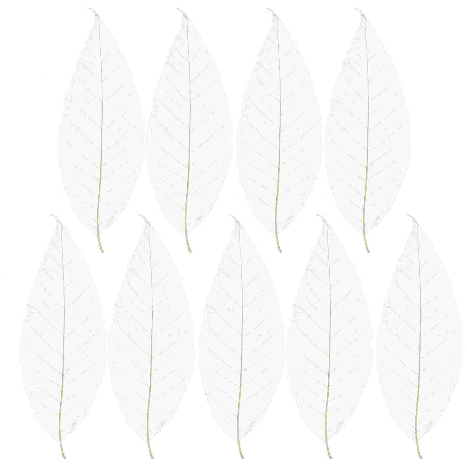

100pcs Magnolia Dried Flowers Specimen DIY Materials Bookmark Greeting Cards Manual Craft Multifunction Decoration(White)