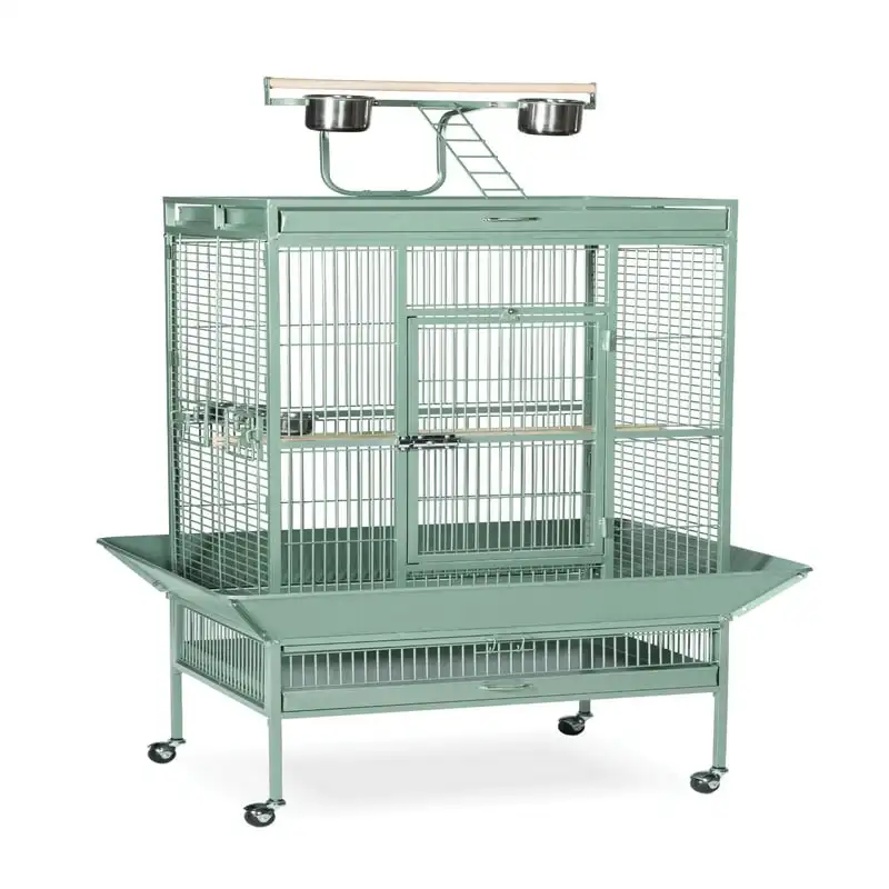

Select Wrought Iron Sage Green Bird Cage with Play Top Easy cleaning