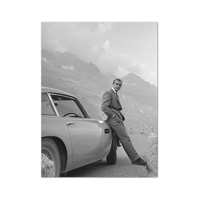 Художественный плакат 007 на холсте dulike