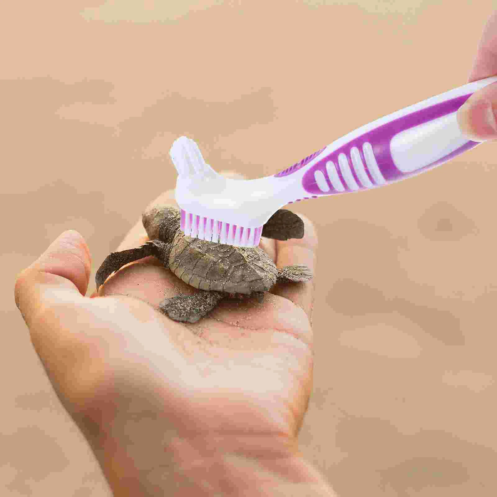 

Turtle Shell Cleaning Brush Aquatic Tortoise Shell Cleaning Brush Turtle Shell Mud Dirt Remover Brush