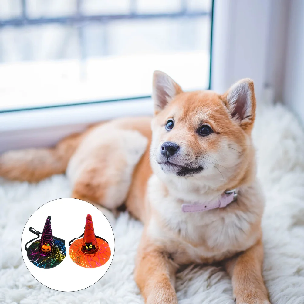 

Hat Dogpetcostume Pumpkin Witch Hats Creative Costumes Dogs Bat Cosplay Party