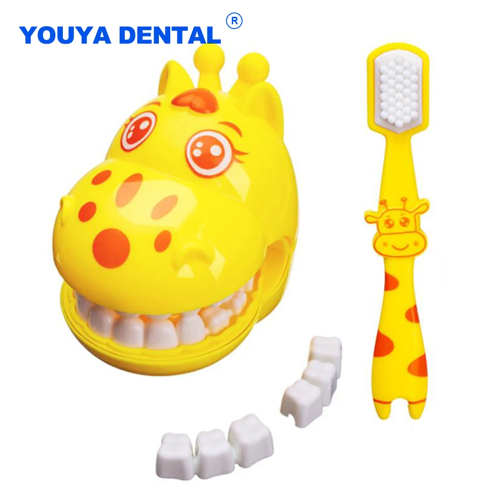Giraffe Teeth Brush Teeth Teaching Model Kids Earlier Education Demo Dental Study Model Brushing Children Toys Gifts Teeth Model