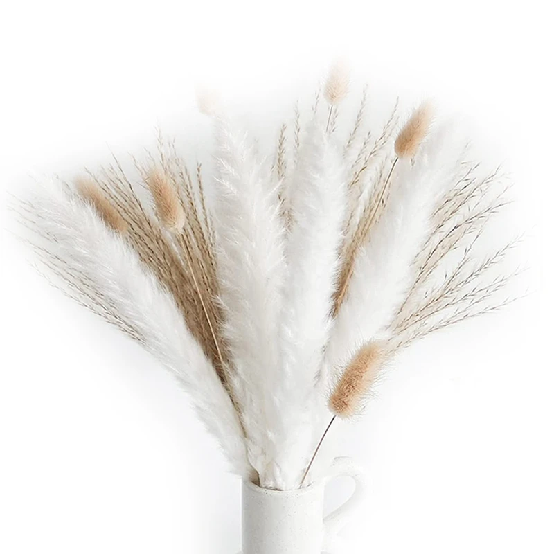 

100 шт. натуральная сушеная пампасная трава, белая пампасная трава, сушеные цветы с Банни, букет из тростника для свадьбы