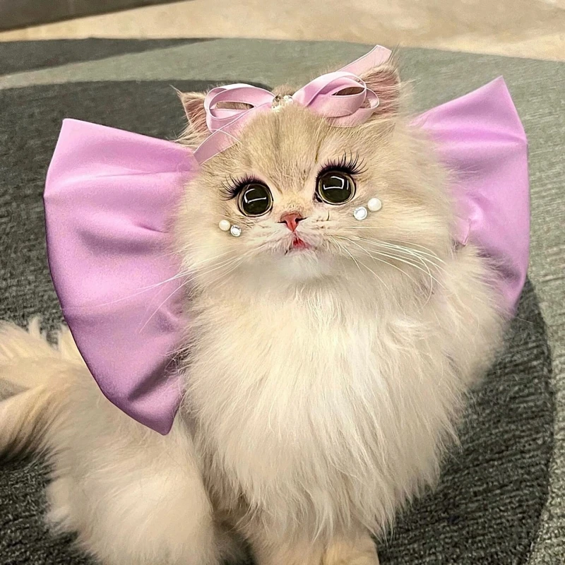 Женское кольцо для шеи с бантом том в виде кошки