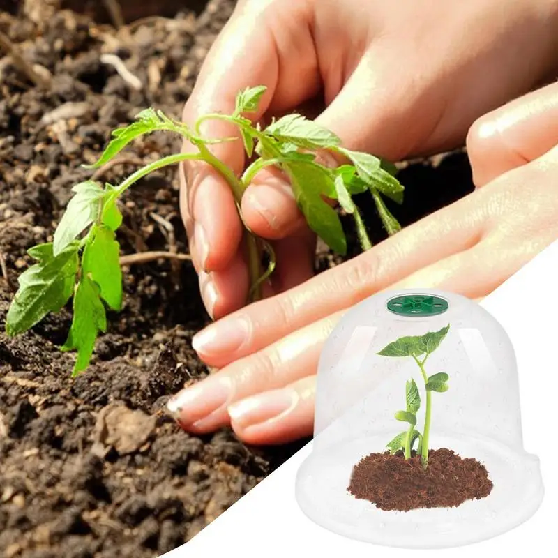 10 шт. куполообразные контейнеры для растений с крышкой