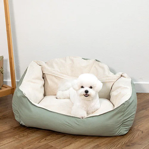 

반려동동사사사사사사절