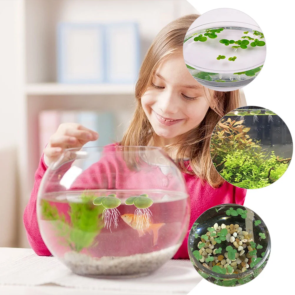 18 шт. аквариумные растения с утиными водорослями искусственные плавающие