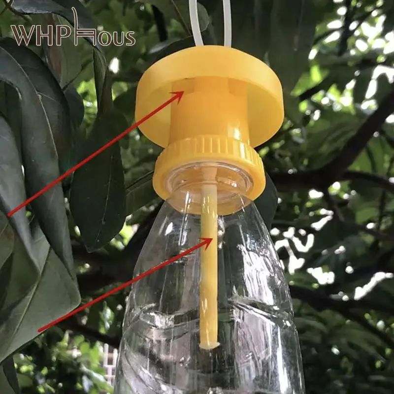 

Hot Sale Fruit Fly Trap Killer Plastic Yellow Drosophila Trap Flypaper Insect Pest Control For Home Farm Orchard 6 * 6 * 2cm