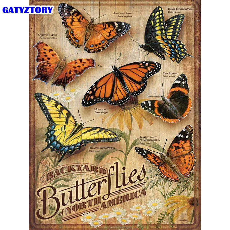 

GATYZTORY Painting By Numbers Butterfly Specimens Handmade Picture By Numbers On Canvas Digital Paint Kits 60x75cm Framed Decor