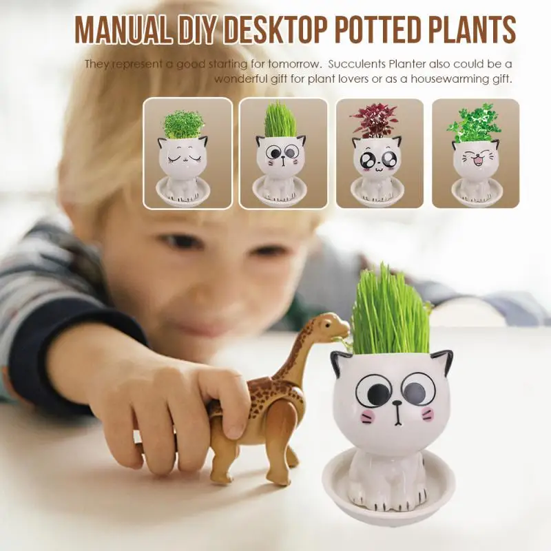 

New Flower Pot Cat Baby Children'S Toys Science And Education Development Kit Kindergarten Opening Gift Manual Diy Table Pot