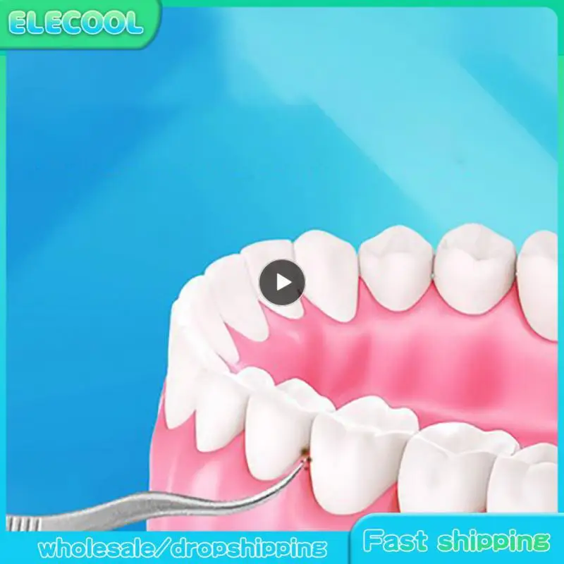 

1~10PCS Stainless Steel Toothpick Set Reusable Toothpicks Tooth Flossing Tartar Removal Tool for Tooth Oral Cleaning With