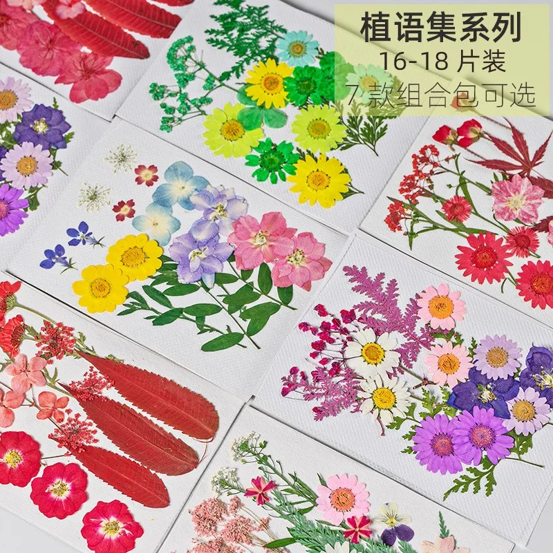 

Pressed Real Dried Flower Dry Leaves for DIY Crafts Bookmark Card Making Flower Decoration Art wedding