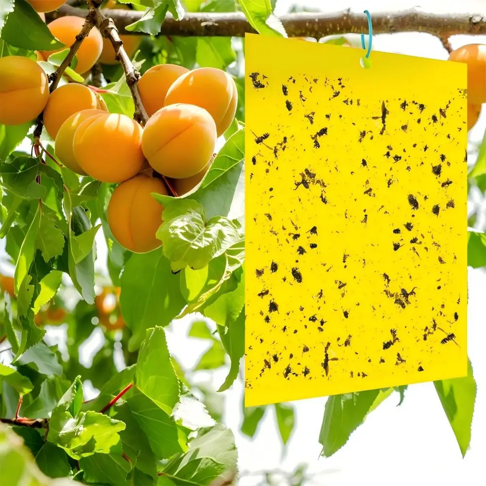 100 шт. желтая двухсторонняя ловушка для летающих насекомых липкая доска садовая