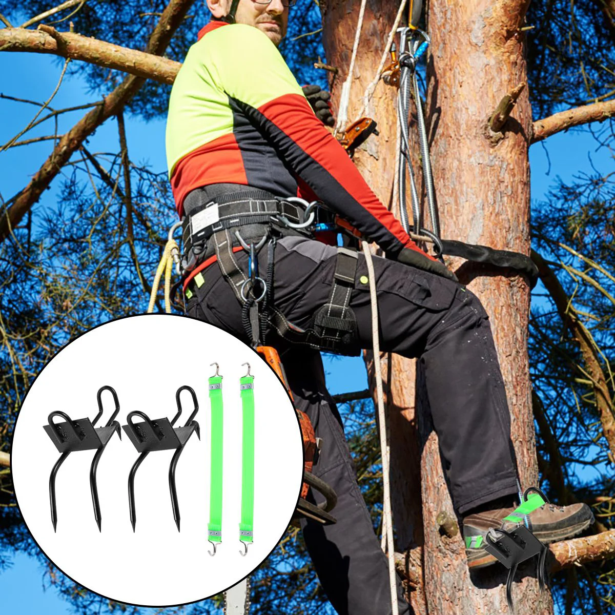 

Climbing Tree Spikes Pole Fruit Picking Gaffs Non Claw Straps Shoes Steel Foot Climbers Spurs Gaff Supplies Boots Nail Metal