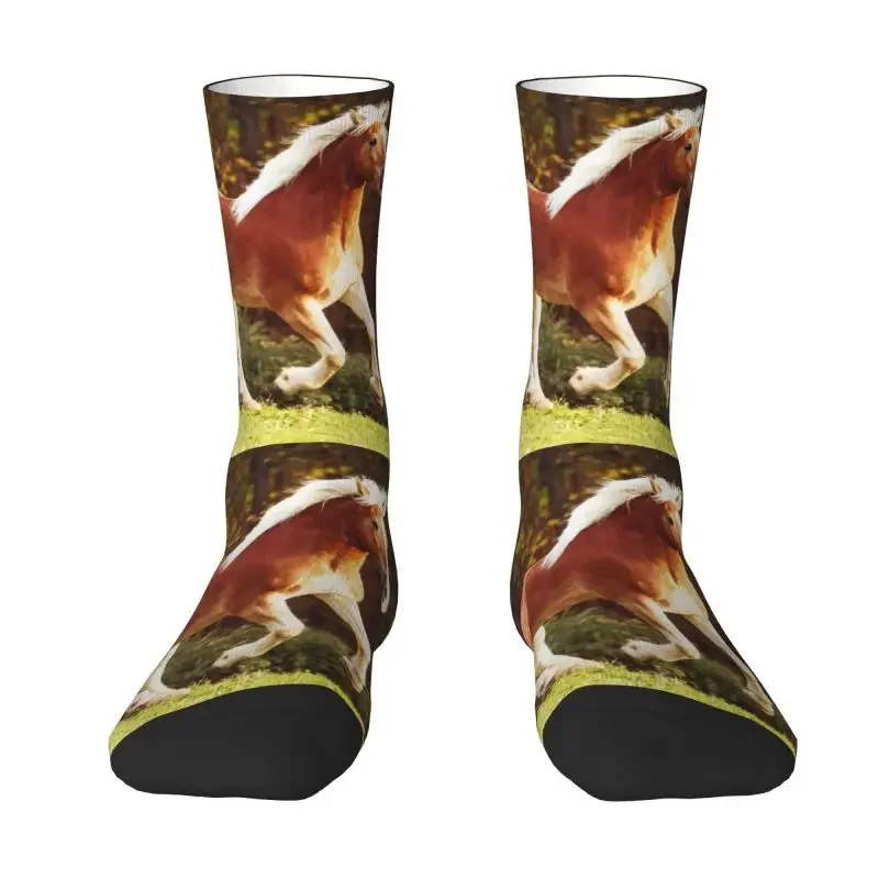

Haflinger Horse Dress Socks Men Women Warm Funny Novelty Animal Crew Socks