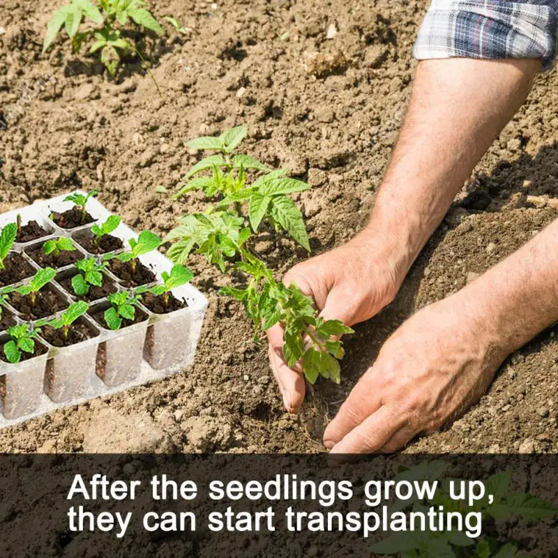 

24 Holes Nursery Pot Garden Reusable Transparent Plastic Seedling Starter Growth Germination Tray For Home Garden Tools
