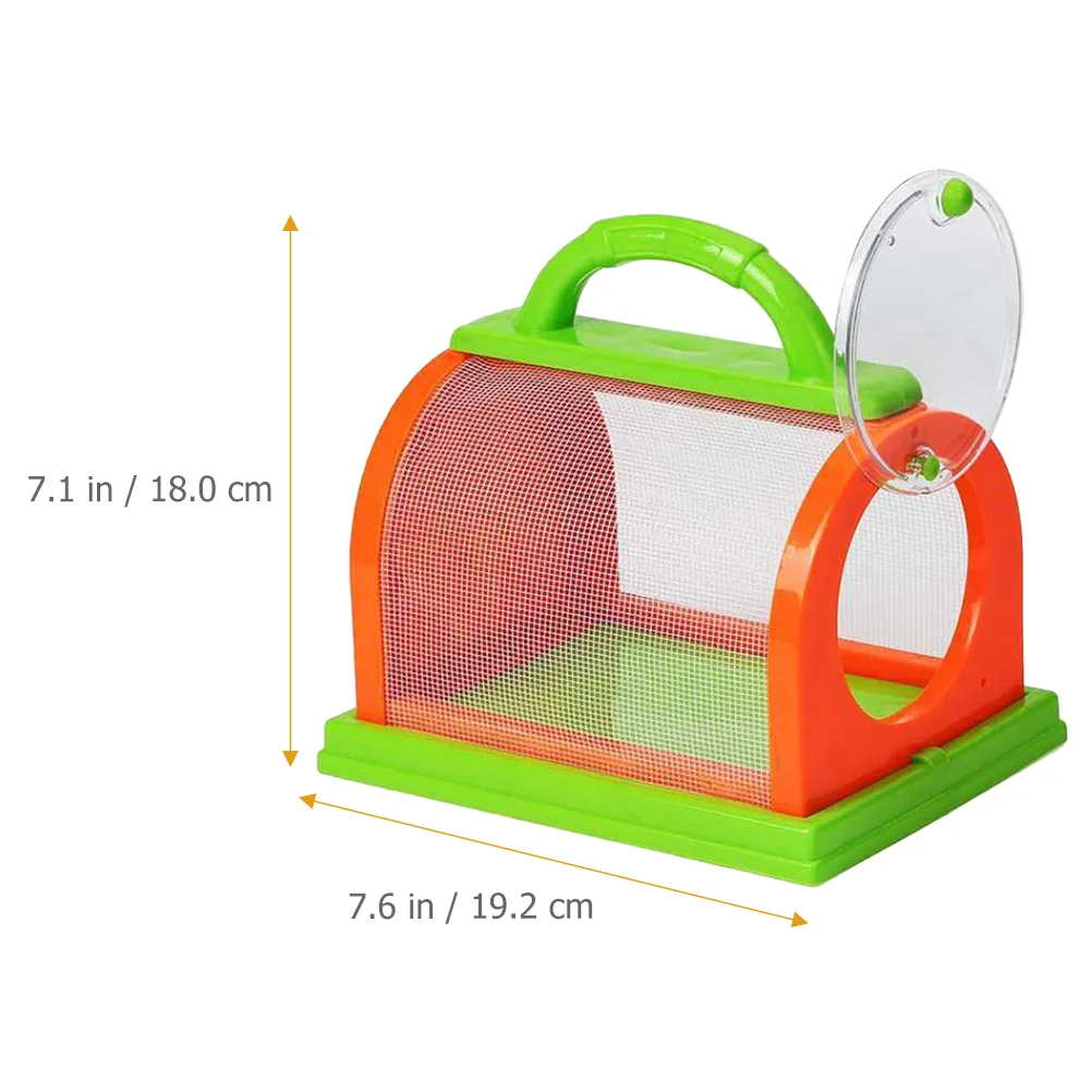 Box bug