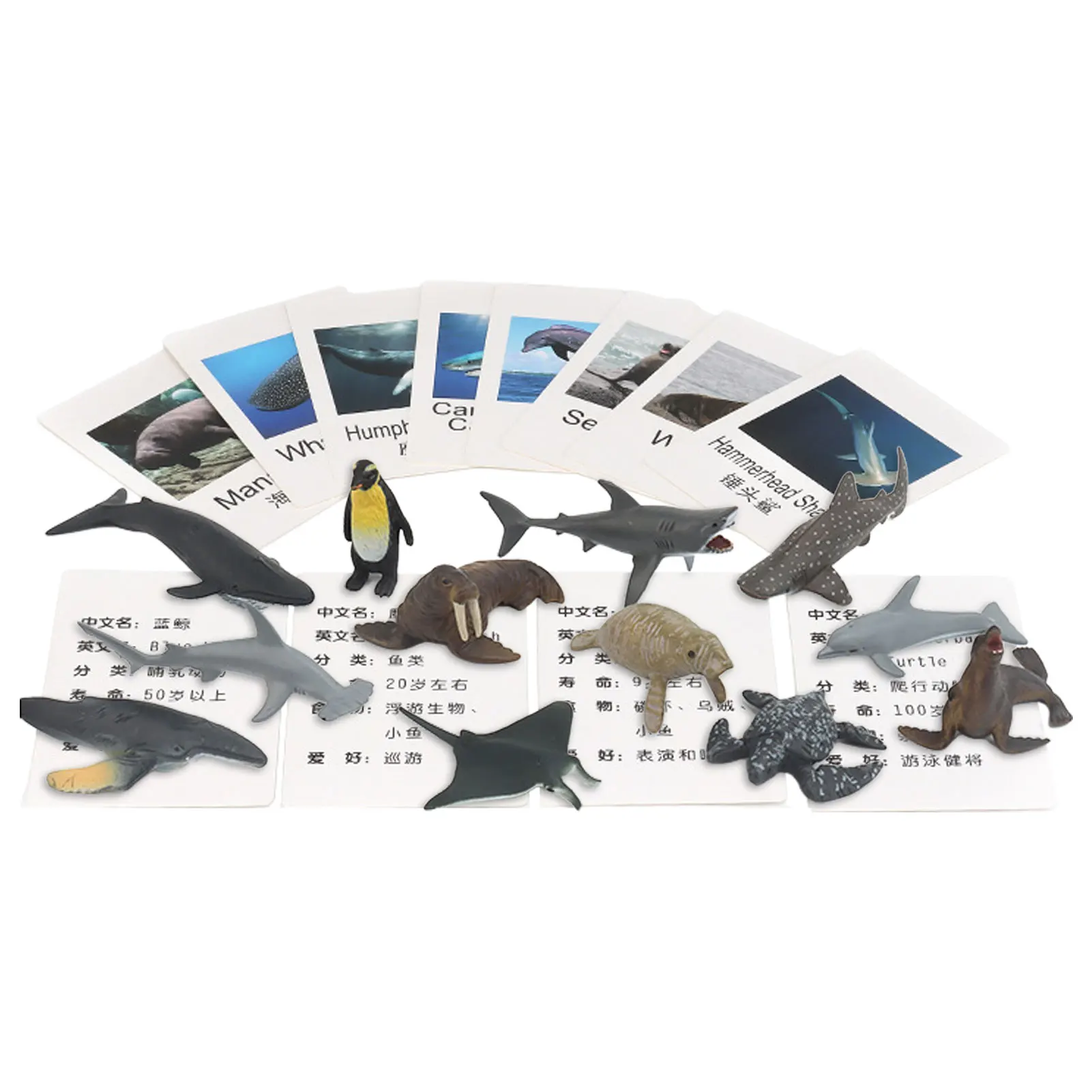 

Animal Models Matching Cards Animal Picture Memory Card Marine Animal Matching Cards Montessori Language Learning Material