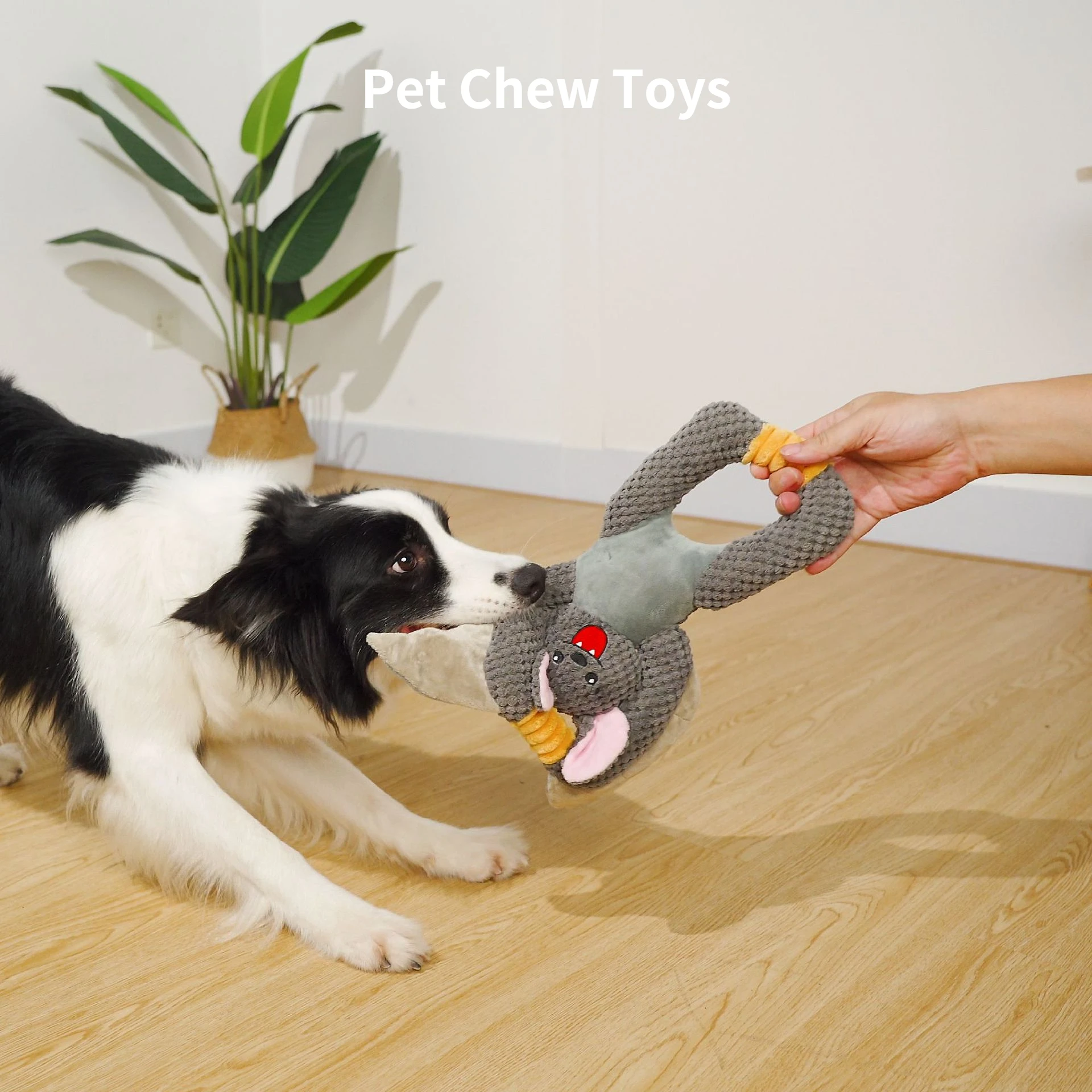 Dog Puppy Toys Pet Supplies Pets Chew Toy Funny Animal Squeak Cleaning for Small Medium Dog Accessories Training Plush Sound