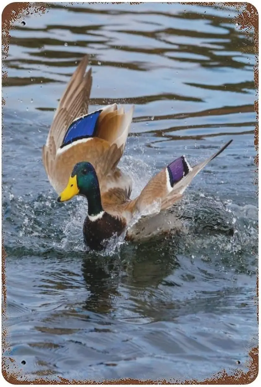 

Металлическая Оловянная вывеска в рустикальном стиле, Настенный декор, железная живопись в стиле сельского дома, кухни, ресторана, отеля