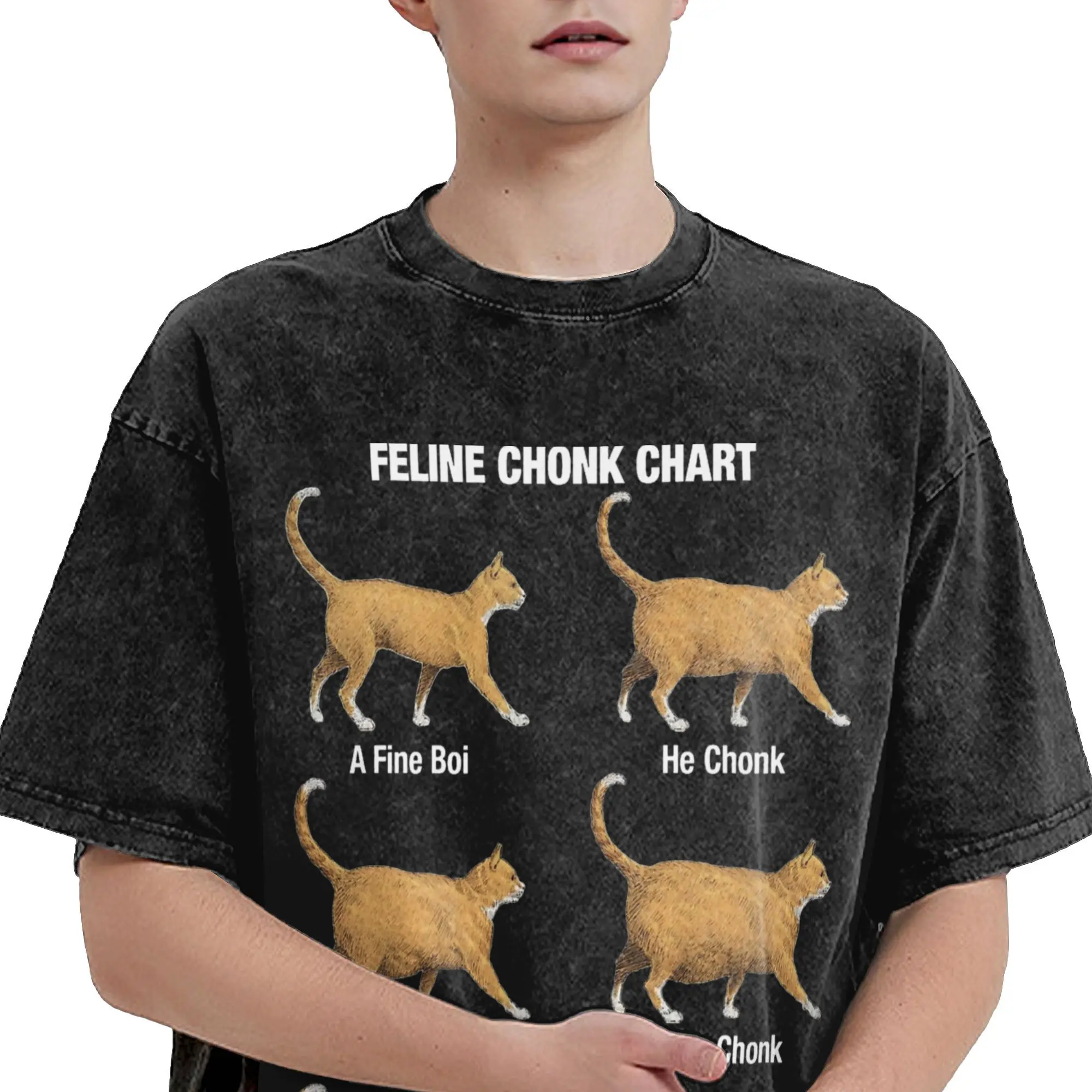 Feline Conk Chart Funny Chonk Cat Meme футболки в стиле хип-хоп потертая футболка большого размера