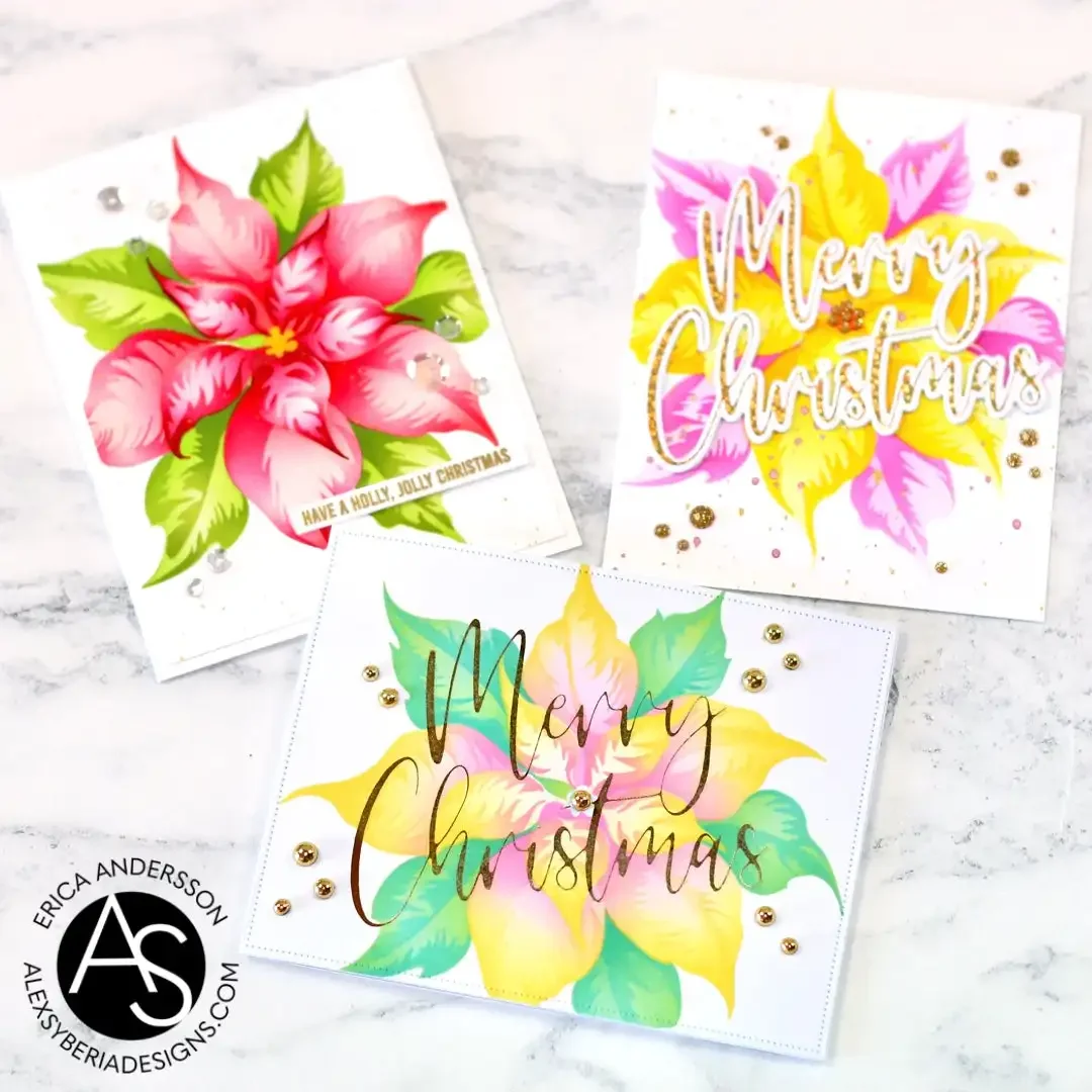 Новинка 2023 рождественские предложения прозрачные штампы пуансеттии