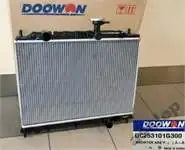 

Engine water radiator for 253101 G300