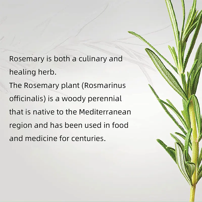 Рисунок 6 - Эфирное масло Mielle с Розмарином и мятой