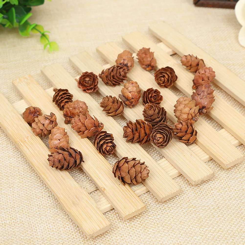 210 шт. сосновые шишки для фотографий декор растений рождественские украшения