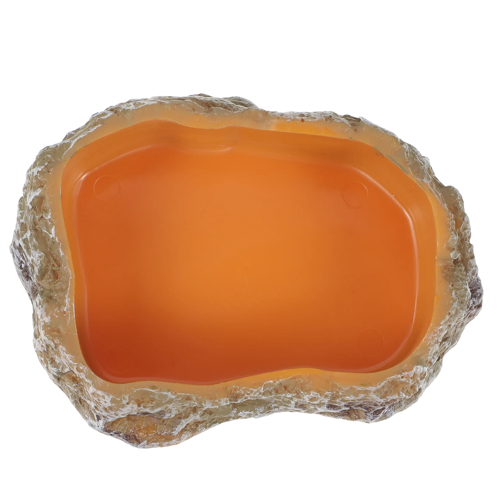 

Bowl Glass Containers Dish Water Feeding Food Pet Terrarium Feeder Gecko Turtle Rock Amphibians Mealworm Tortoise Reptiles