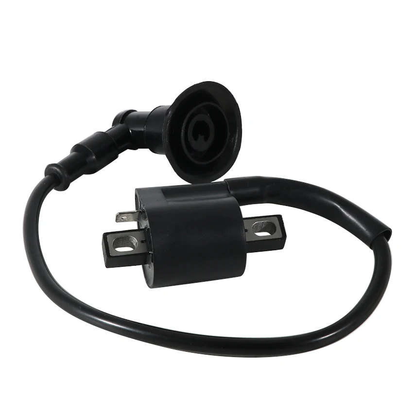 Высоковольтный пакет катушки зажигания для Aeon ATV Minikolt 50 Revo 100 Cobra CPI XS AEO- 30510151 -000