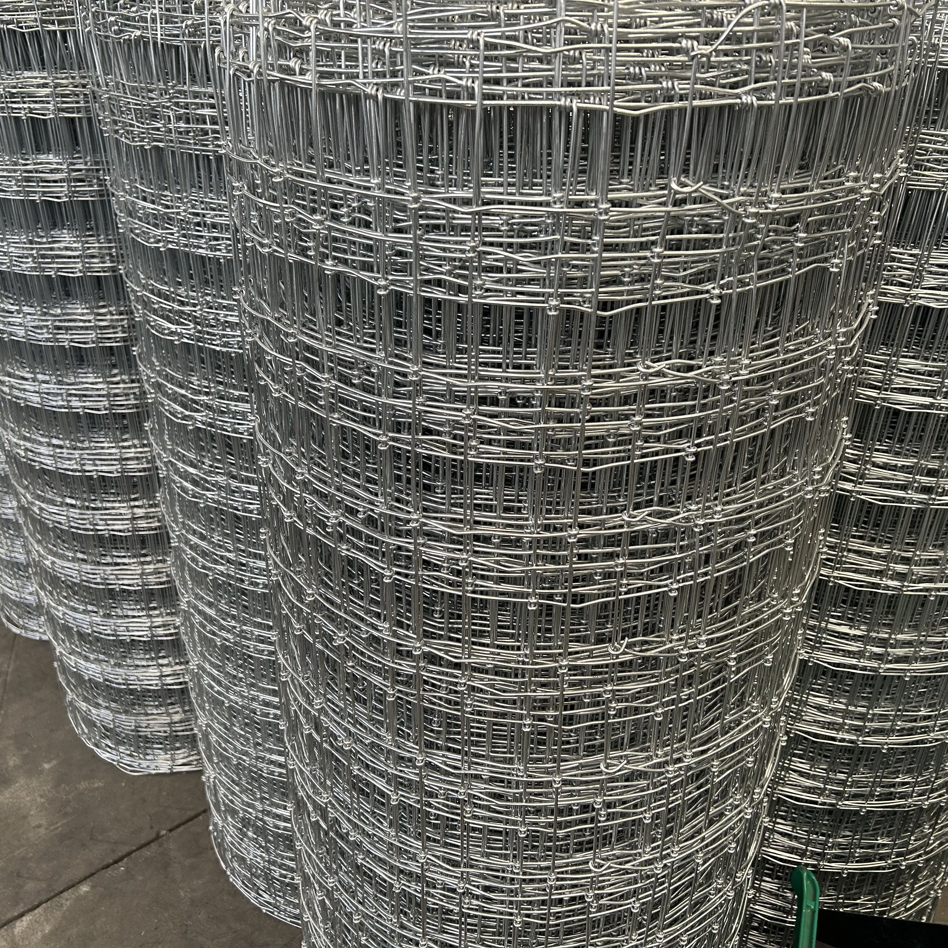 Животное коза олень забор для скота крупный рогатый скот лошадь овца луг полевой