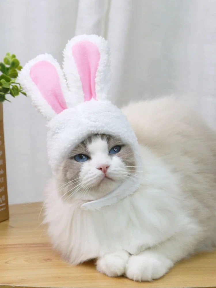 

Cat Rabbit Hat Pet Dog Small Medium-sized Dog Teddy Bear Hat Headgear Supplies Multi-color Shu Cotton Velvet