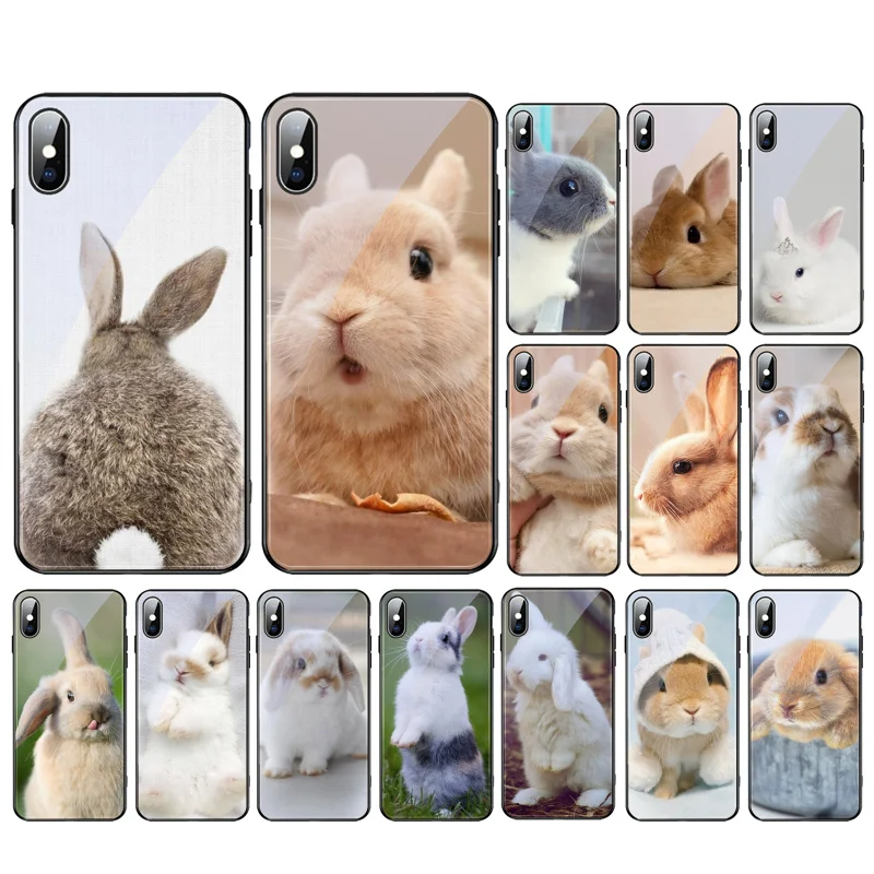 

Beautiful Bunny Rabbits Glass Funda phone case For iphone 15 14 13 Pro Max 12 11 Pro Max XS Mobile Phone Case