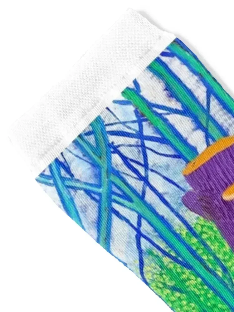 Носки с художественным принтом в стиле Дэвида Хокни спортивные чулки цветочным