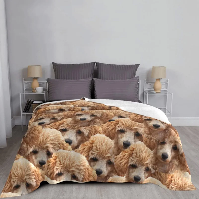 

Cute Funny Brown Poodle Dog Blankets Fleece Printed Breathable Warm Throw Blankets for Bedding Car Bedspread
