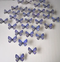 real butterfly specimens spread their wings precious gray butterfly shooting props div handmade student science teaching aids