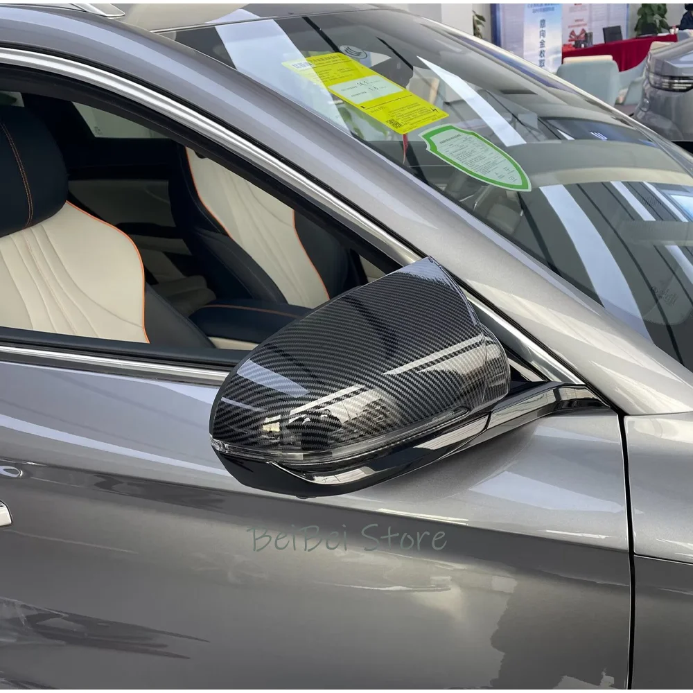 Фото Для BYD Sealion 5 DM-i Song Pro SA2 2024~2026 2025: Защитные накладки на зеркала заднего вида из углеродного волокна, декоративные аксессуары для модификации автомобиля №4