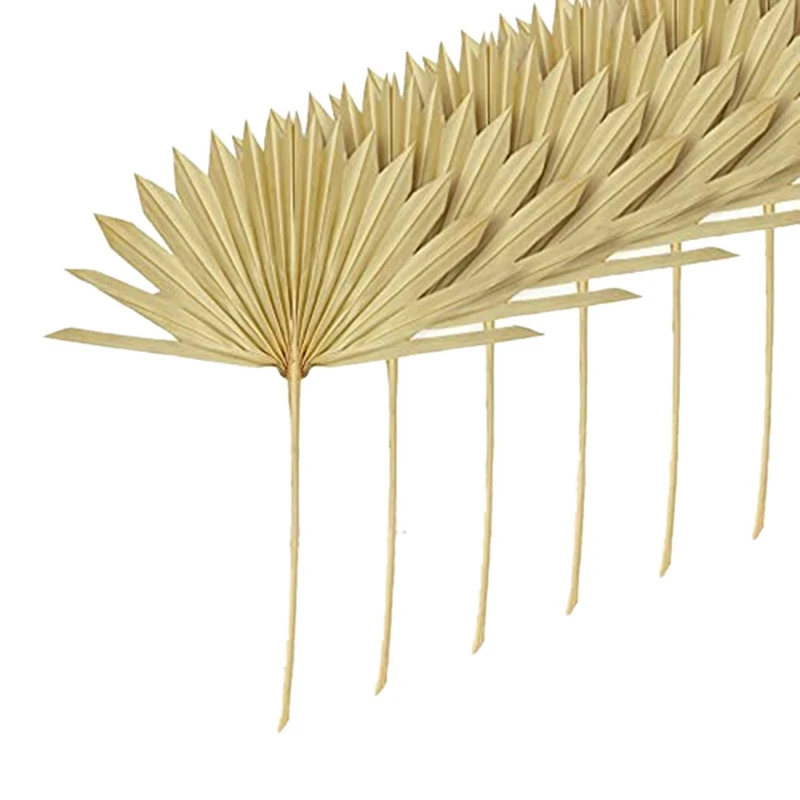 

6Pcs Large Dried Palm Leaves Natural Dried Palm Fans Dried Flower Bouquet Wedding Decors Dried Fan Palm Leaves