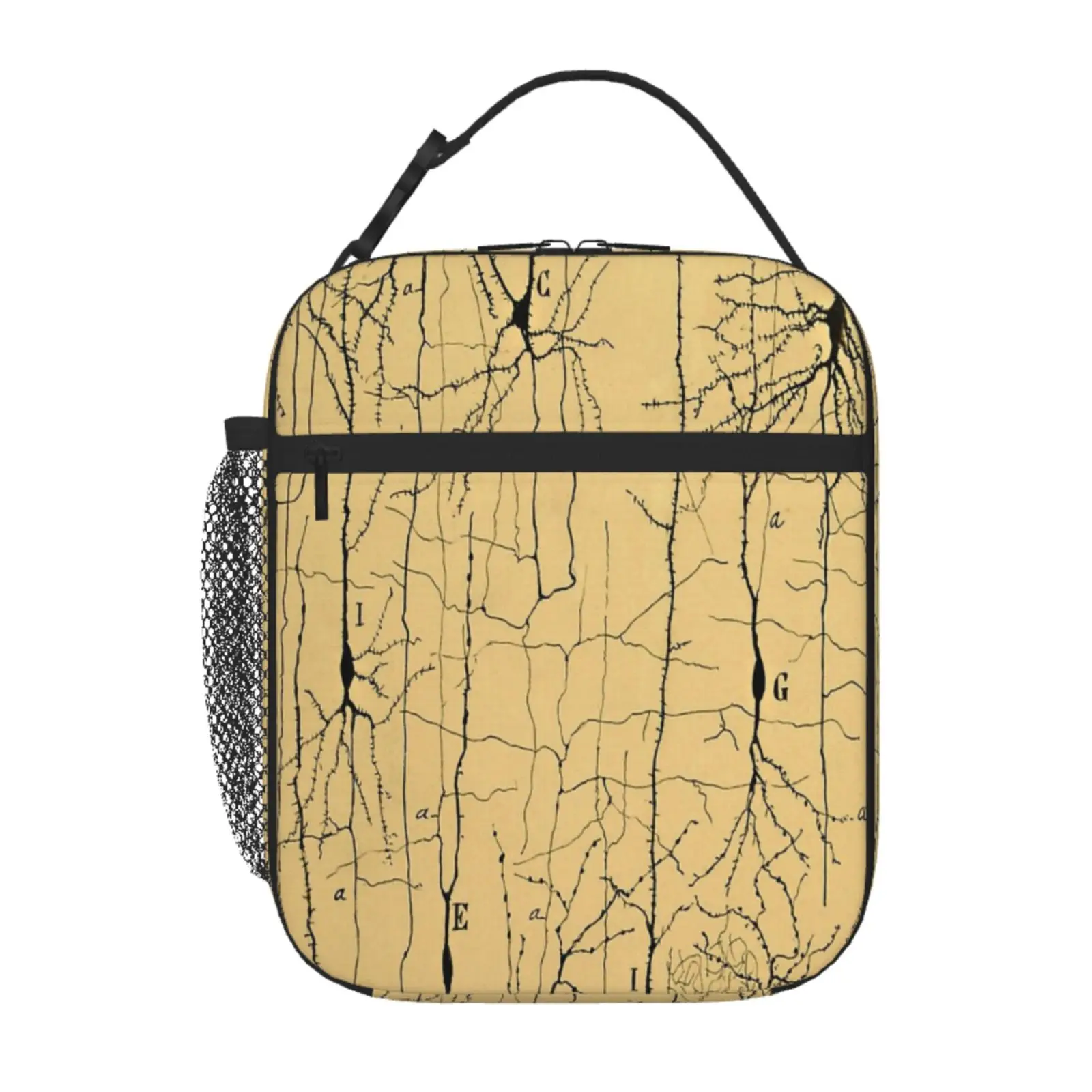 

Drawing Of Nerve Cells By Santiago Ramn Y Cajal Lunch Thermal Bag Thermal Lunch Bag Lunch Bags Bags Thermal Bags