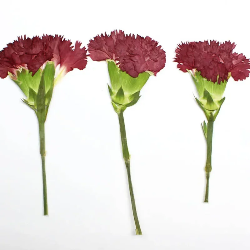 200 шт. боковая фотография