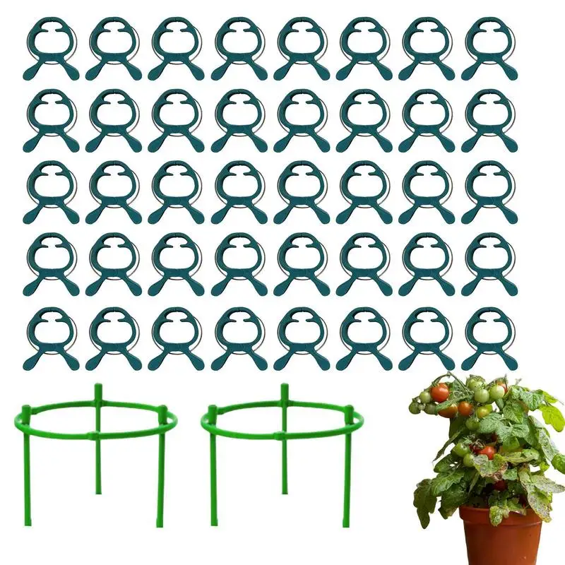 

Plant Support Stakes 50Pcs 8 Word Buckle Vine Tying Clips Ring O Garden Plant Stand Tool 10-50Pcs Garden Decor Tool Vine