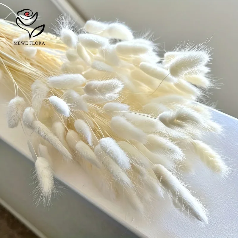 מאגר הקופונים הסודי של עליאקספרס! 300+ קופונים למוצרים מבוקשים! 1643 S8429b2b9a54845a5b4ed8d8c75523034g