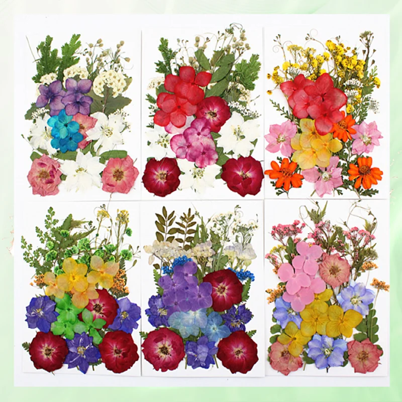 

Dried Flower Pressed Flower Resin Filler Natural Plant Specimen Stickers DIY Epoxy Resin Mold Nail Petal Makeup Bookmarks Crafts