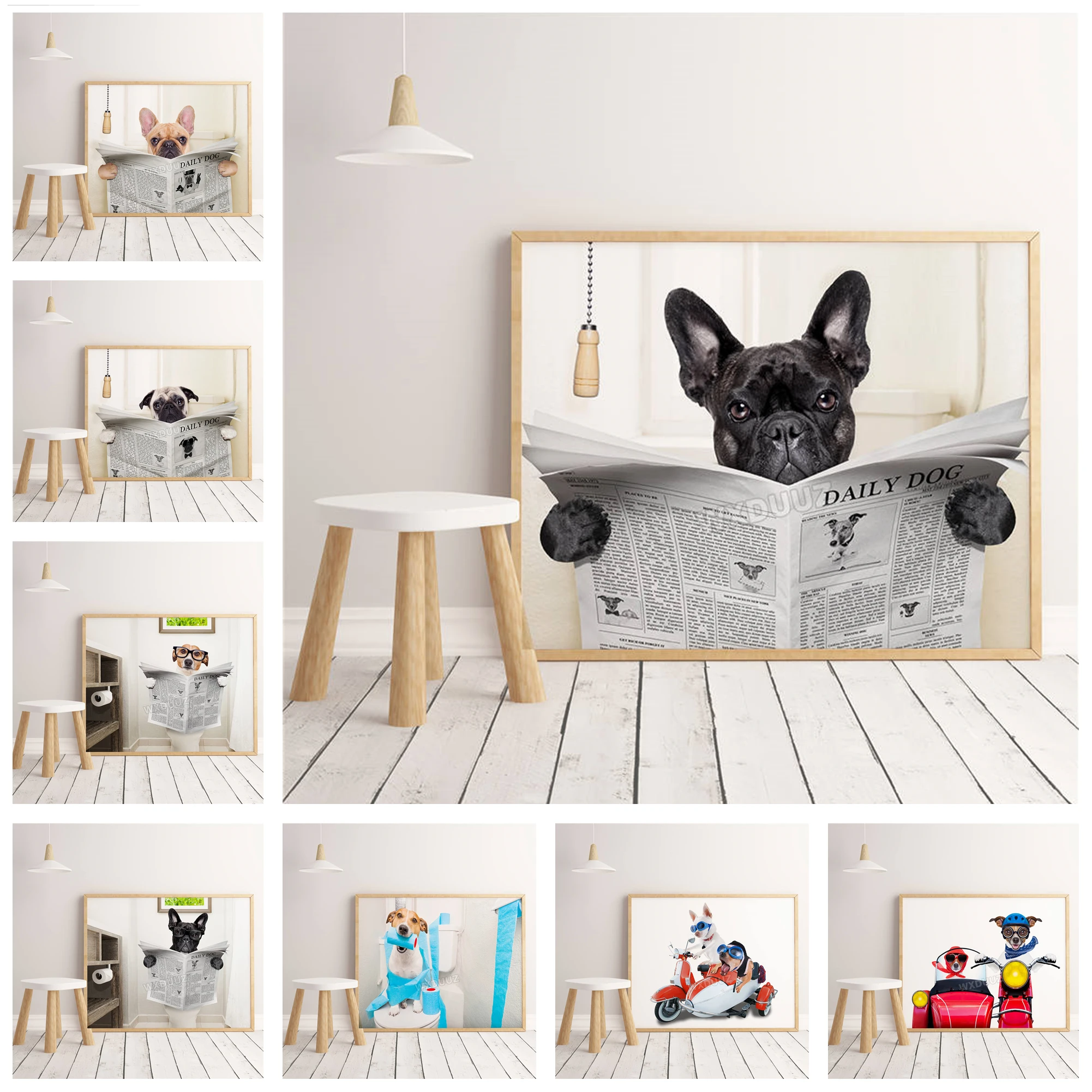 

Animal dog reading newspaper home bathroom canvas painting