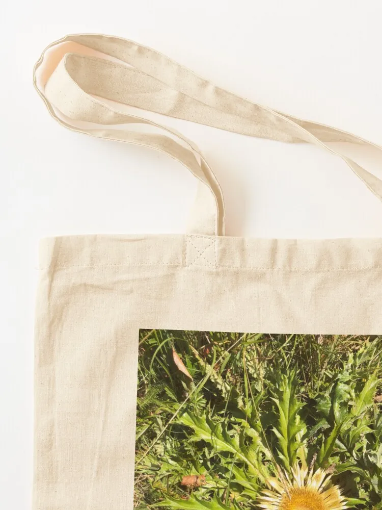 Eguzkilore большая сумка холщовая женские сумки 2025 холщовые сумки-тоут многоразовые