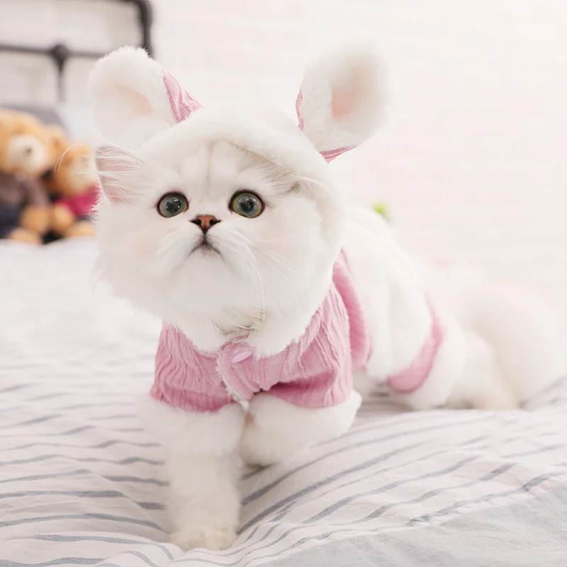 

1Pcs New Cat Cotton-Padded Coat Anti-Hair Fashion Cute Pink Comfortable Soft Breathable Warm Button Clothing Home Pet Supplies