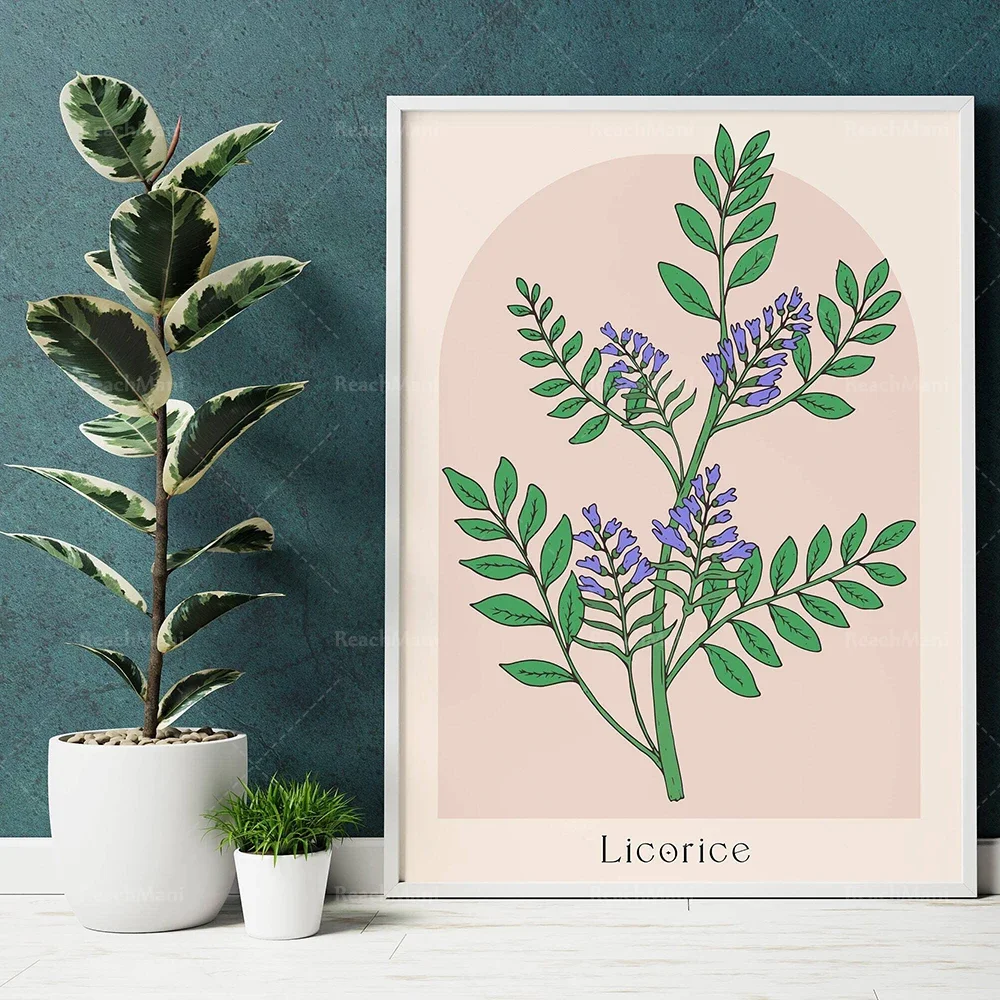 Herbal poster mint herb cumin dill basil licorice arugula fenugreek drawing botanical
