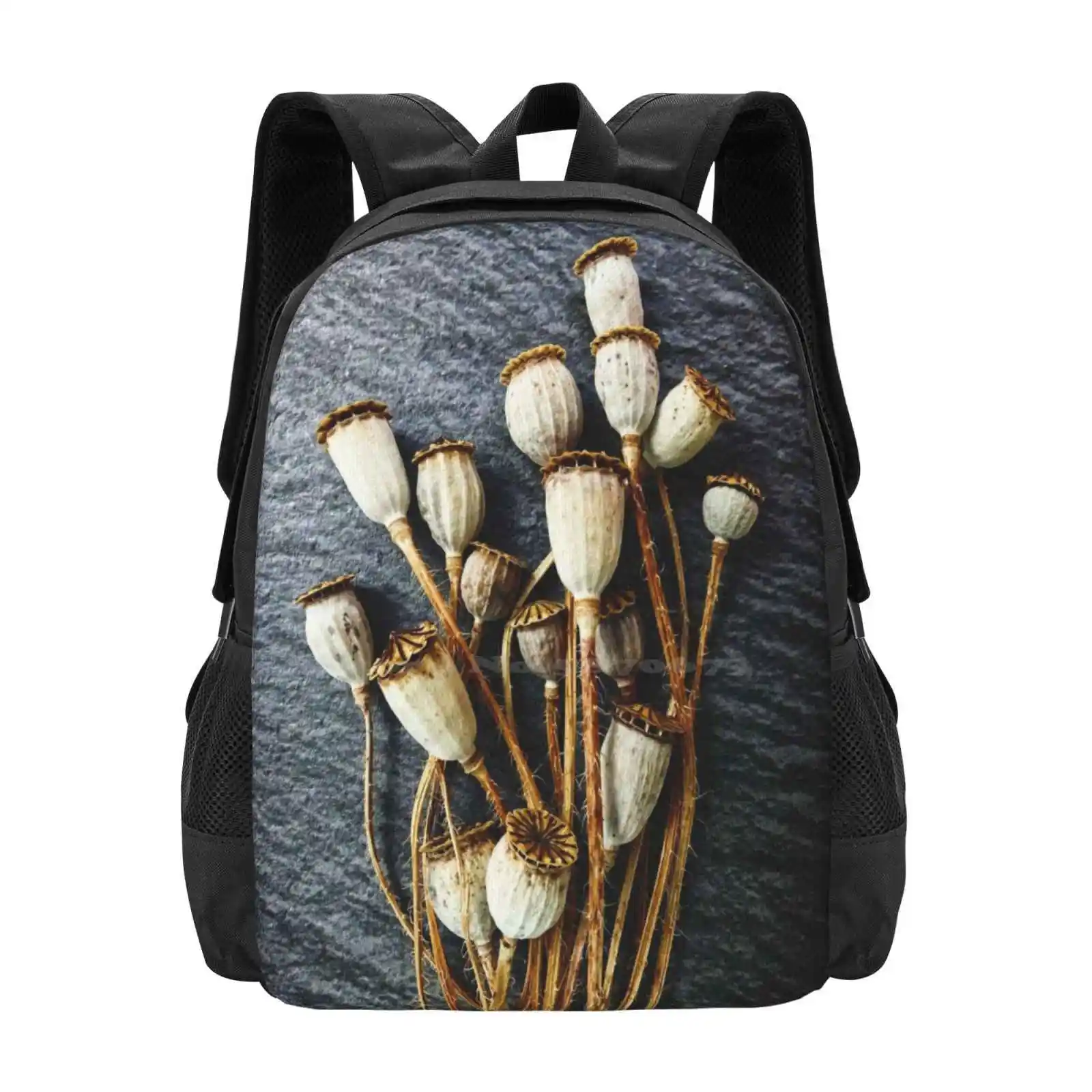 

Pods School Bag Big Capacity Backpack Laptop Color Nature Still Life Close Up Macro Poppy Seed Pods Dried Seed Pods Flower Seed