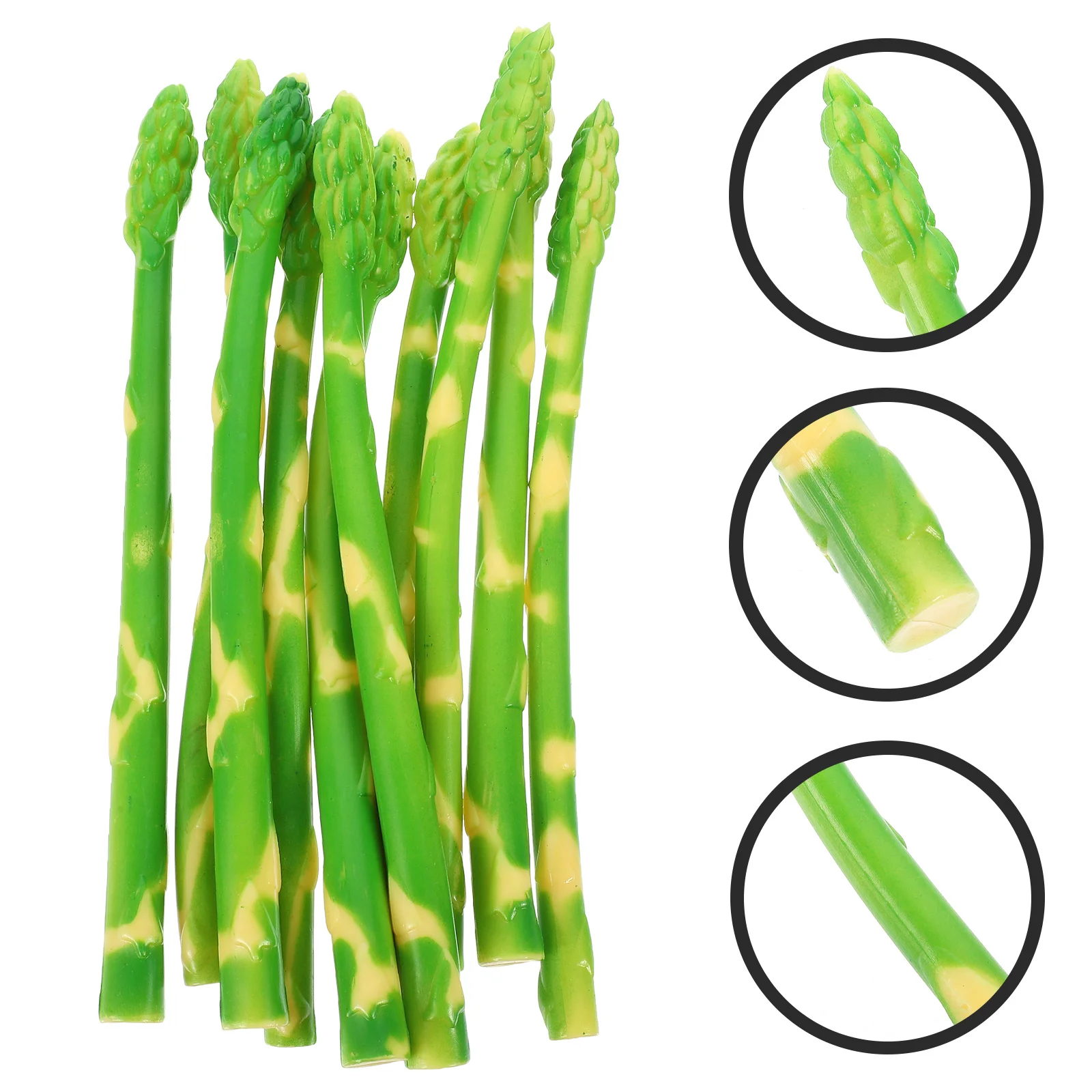 

10Pcs Reusable Practical Multi-purpose Scene Layout Props Artificial Asparagus Model Fake Vegetables for Kindergarten